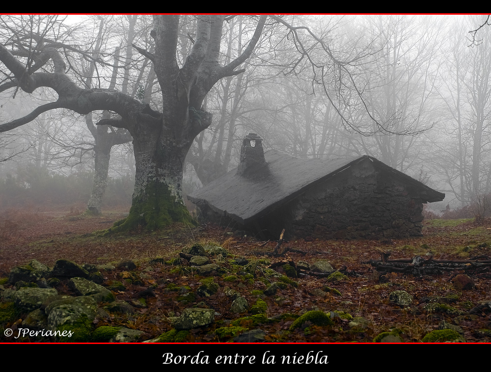 Borda entre la niebla