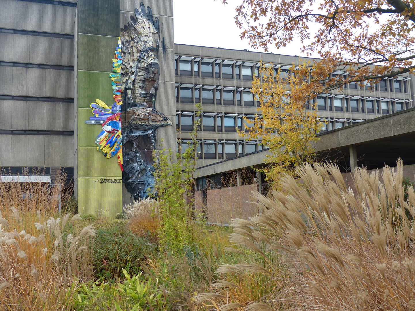 Bordalo II in Vilvoorde