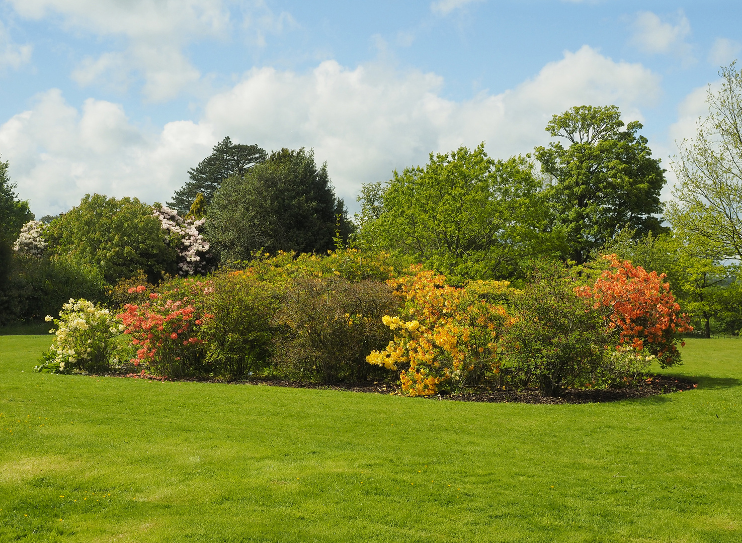 Borde Hill Garden Bunt