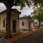 Bordeaux - Meriadeck - Cimetière de la Chartreuse - 07