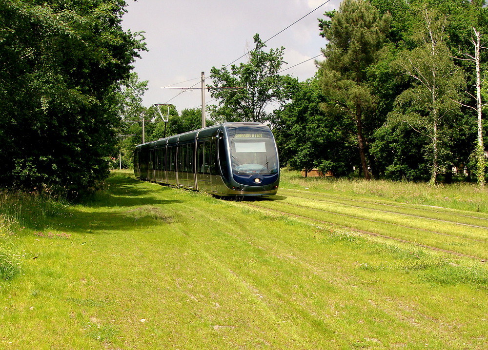 Bordeaux & sein neues Tram.03