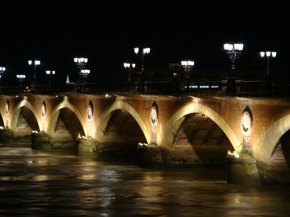 Bordeaux's bridge at night