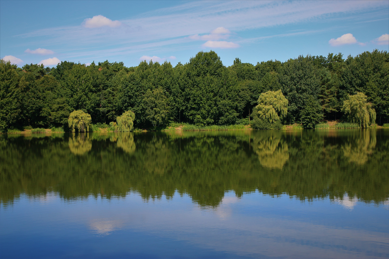 Bordenauersee 2