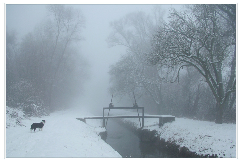 Border im Nebel