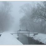 Border im Nebel