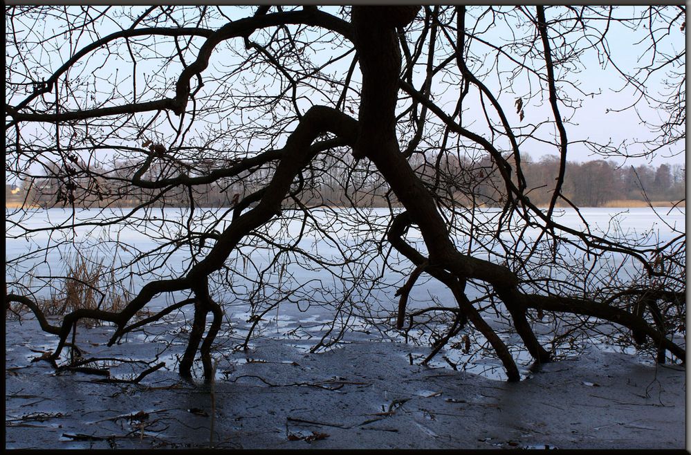 Bordesholmer See im März