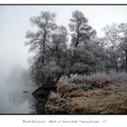 Bords de Garonne