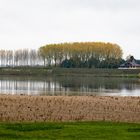 bords de Loire #1