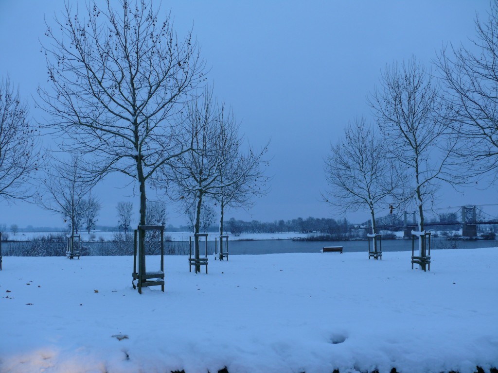 Bords de Loire