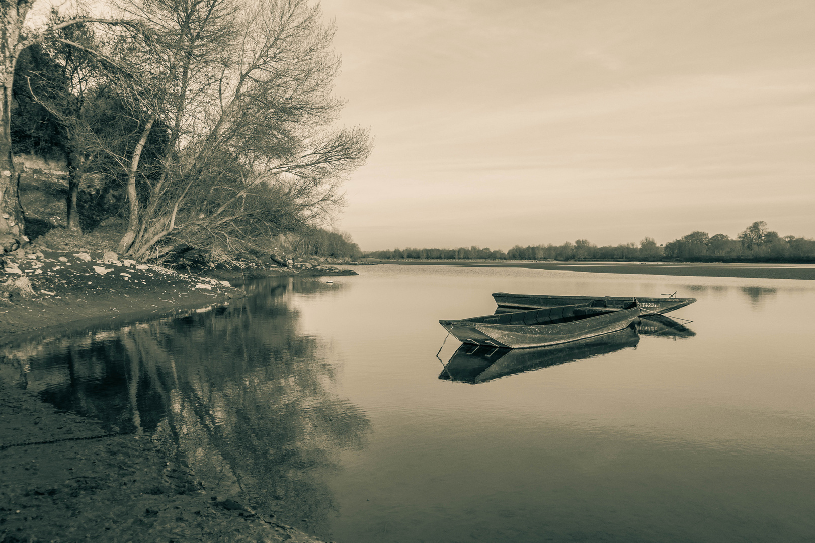 Bords de Loire