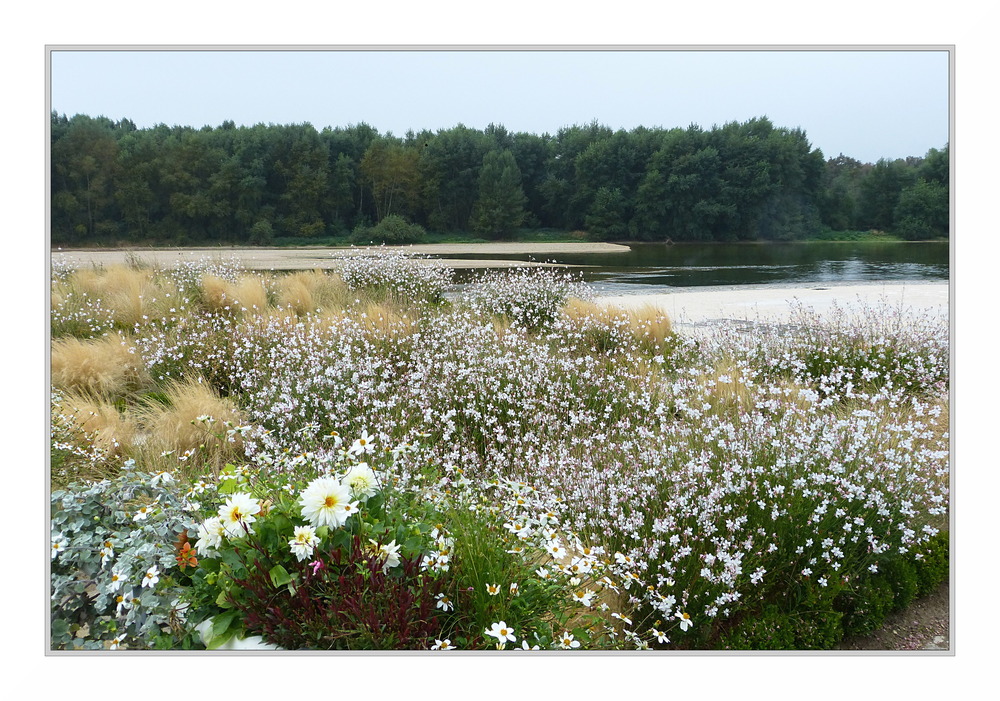 Bords de Loire