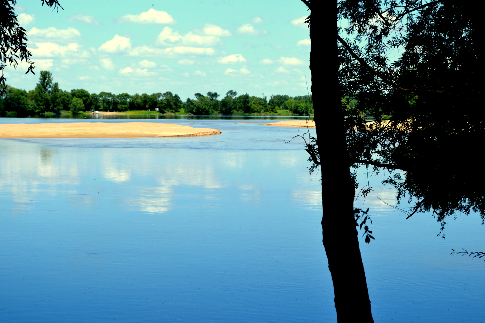 bords de Loire en Anjou