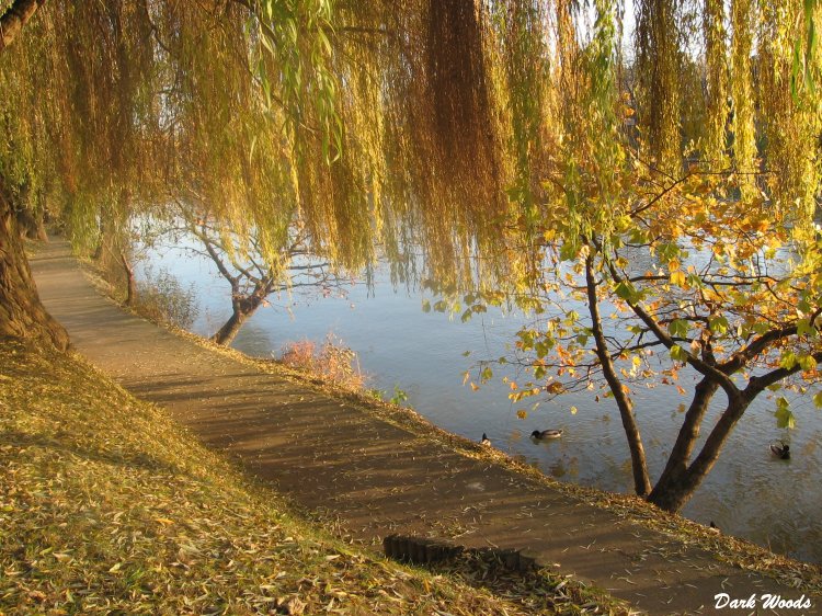 Bords de Marne