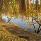 Bords de Marne