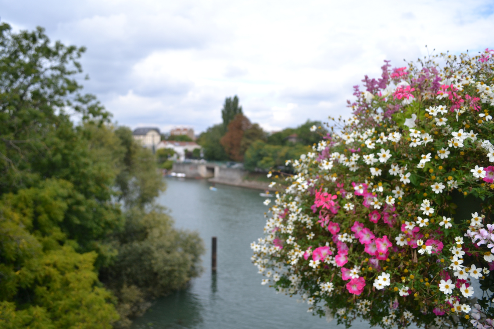 Bords de Marne