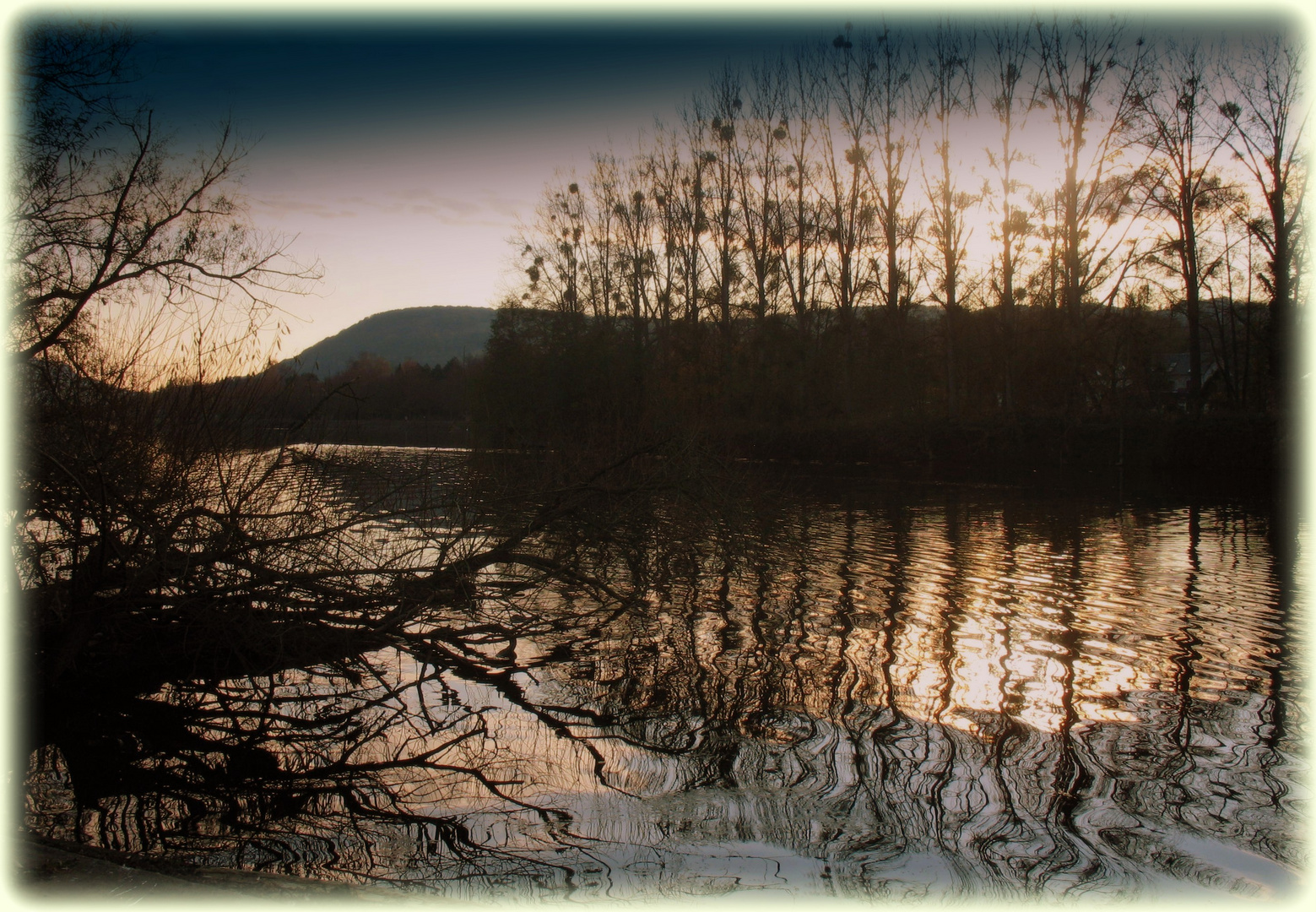 Bords de Meuse