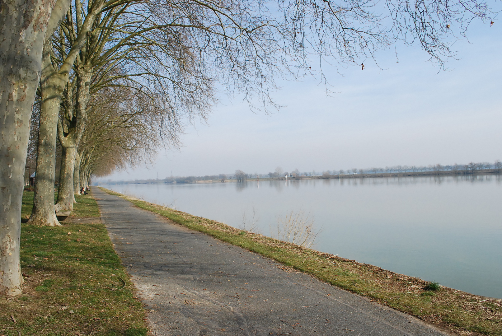 Bords de Saône