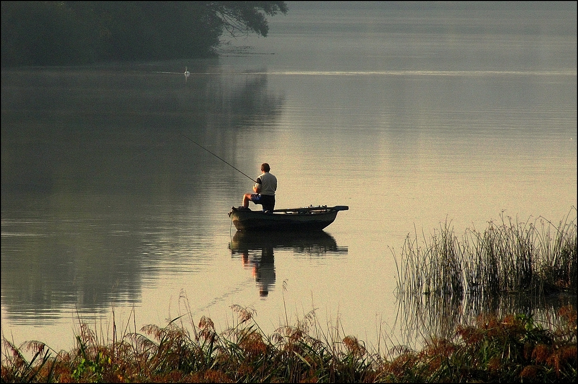 Bords de Saône