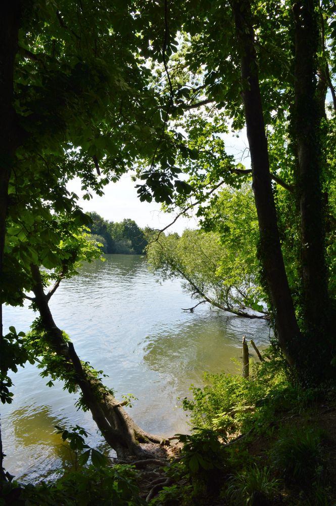 Bords de Seine