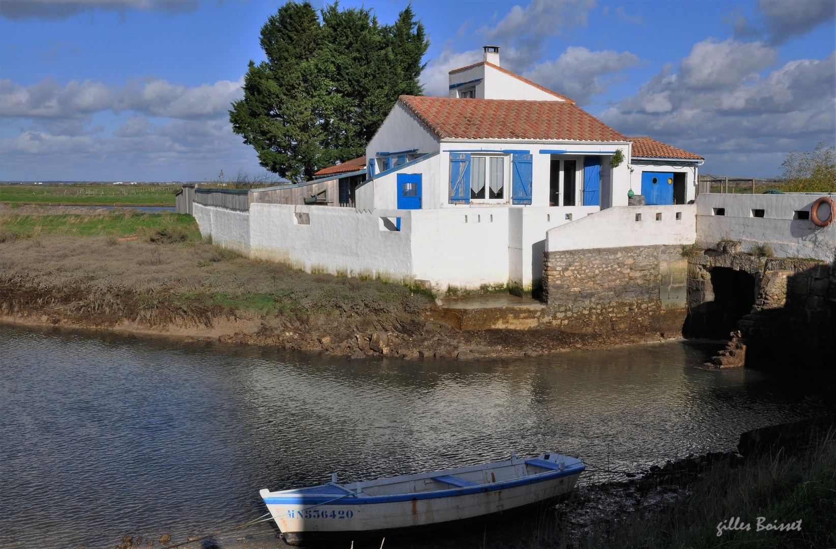 Bords de Seudre à Mornac