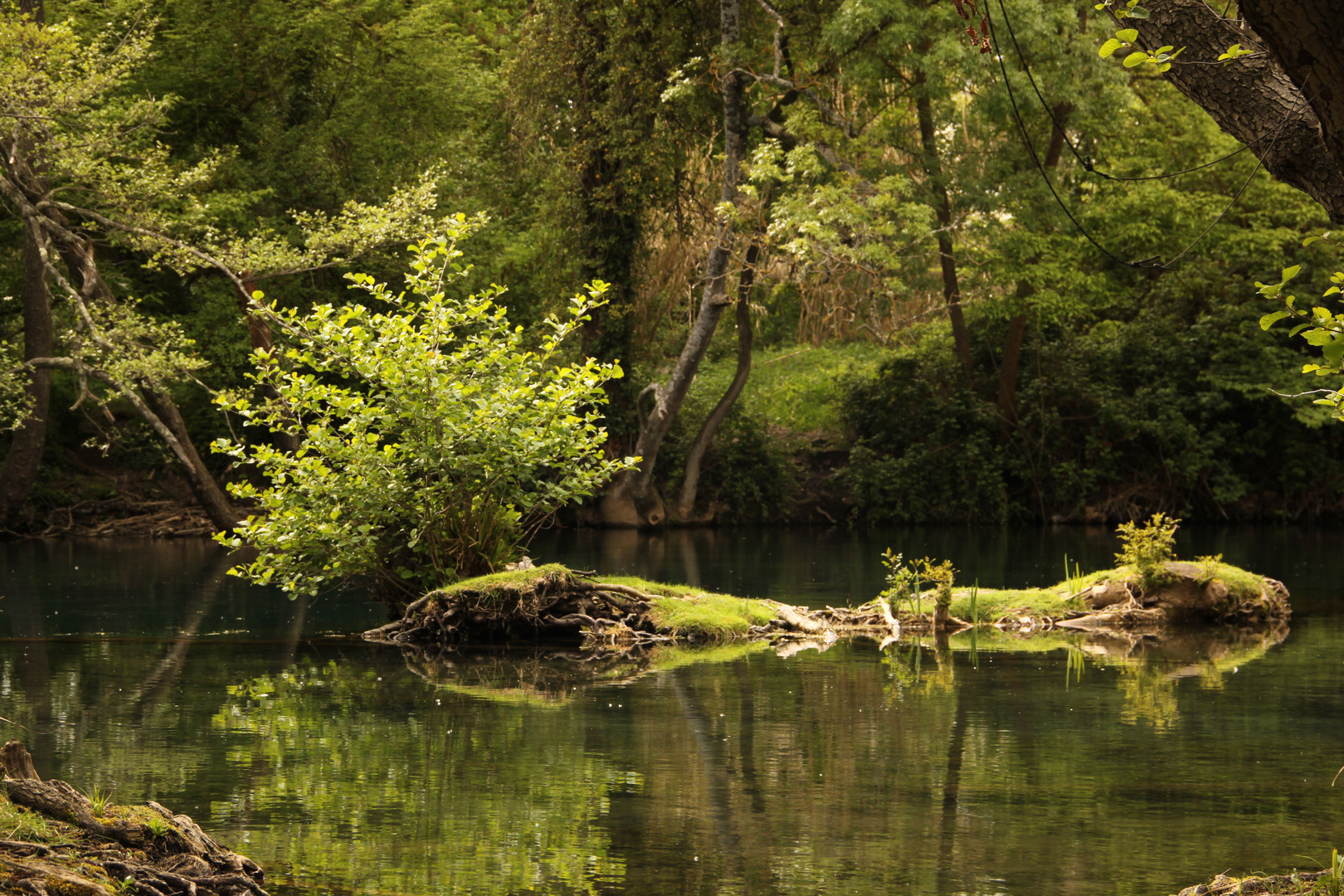 bords de sorgue