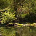 bords de sorgue