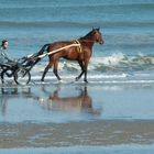 bordure de mer à cheval