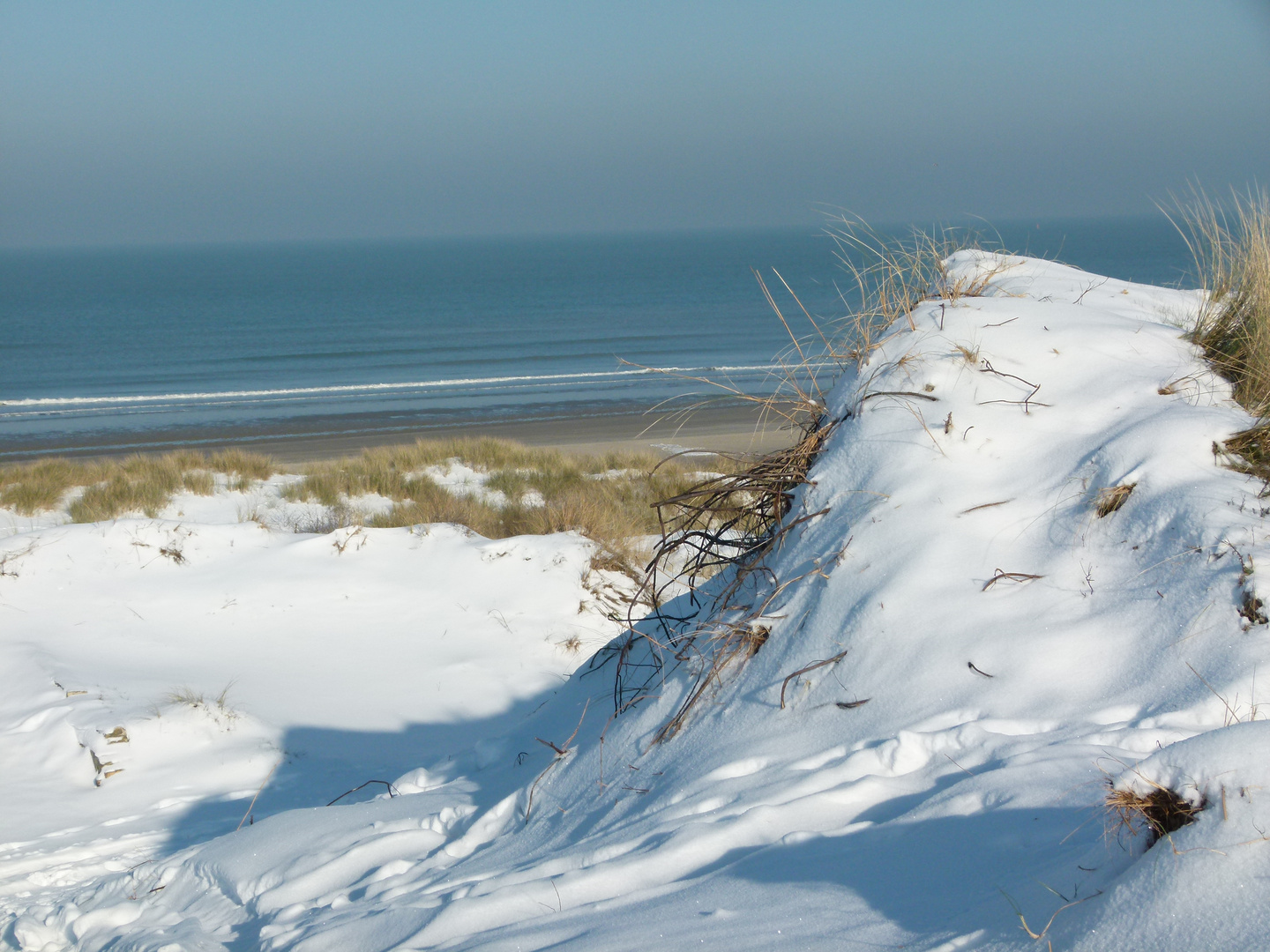 bordure de plage en hiver