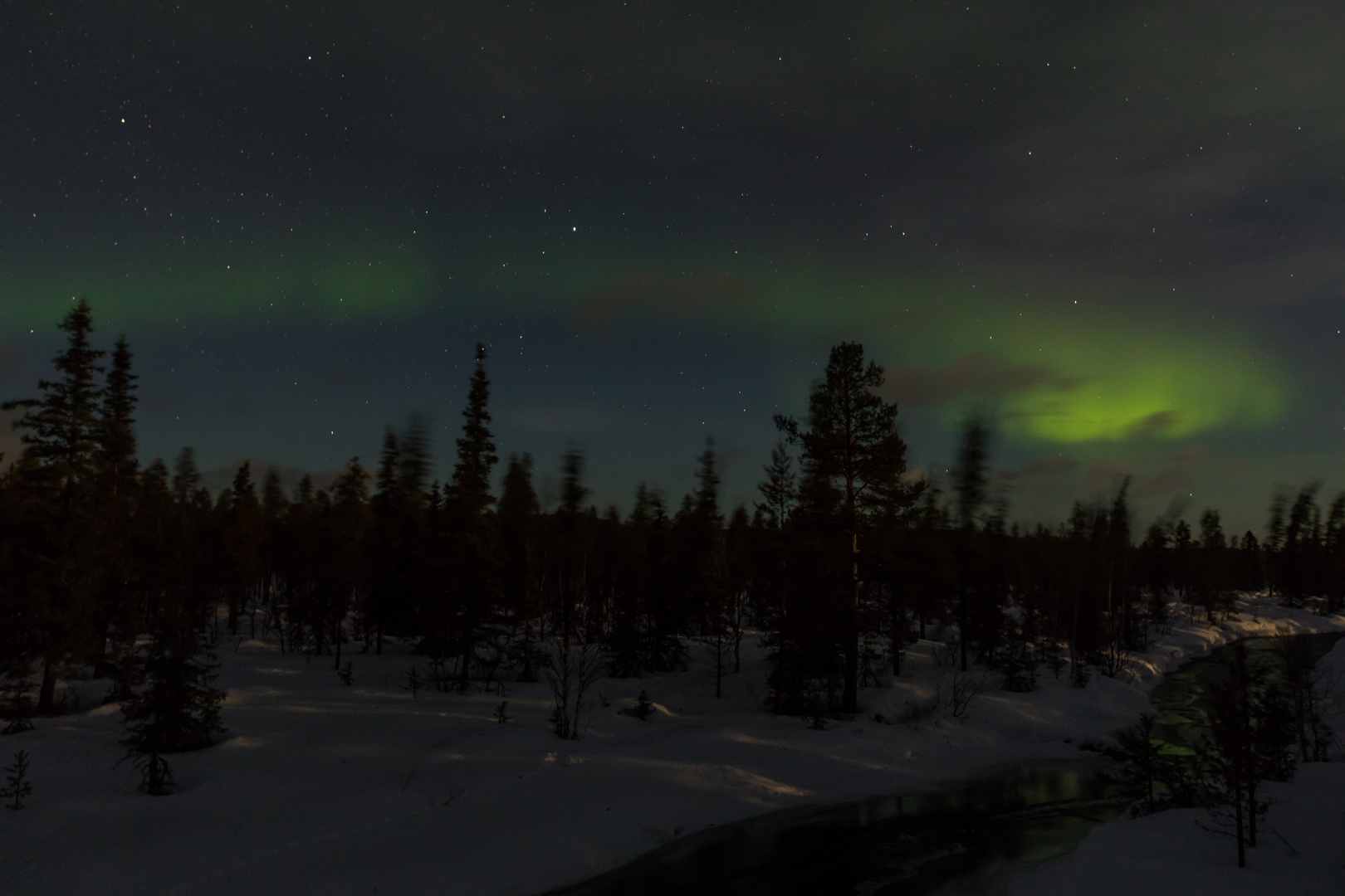 Borealis