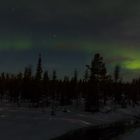 Borealis