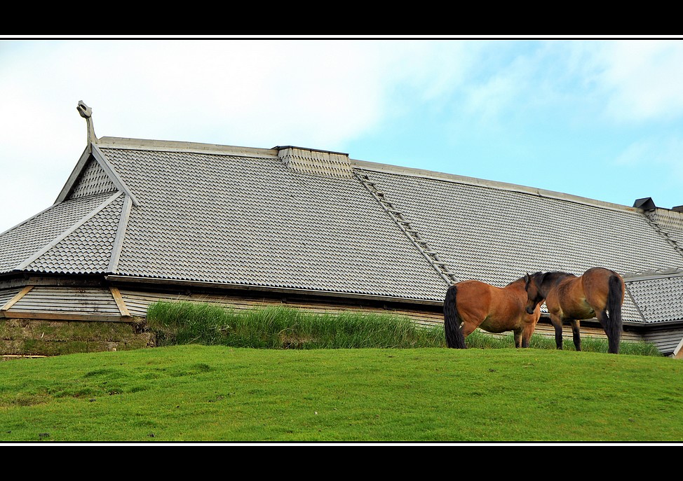 Borg Viking Museum