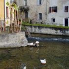 Borghetto 3