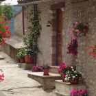 borgo in fiore