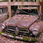 Borgward