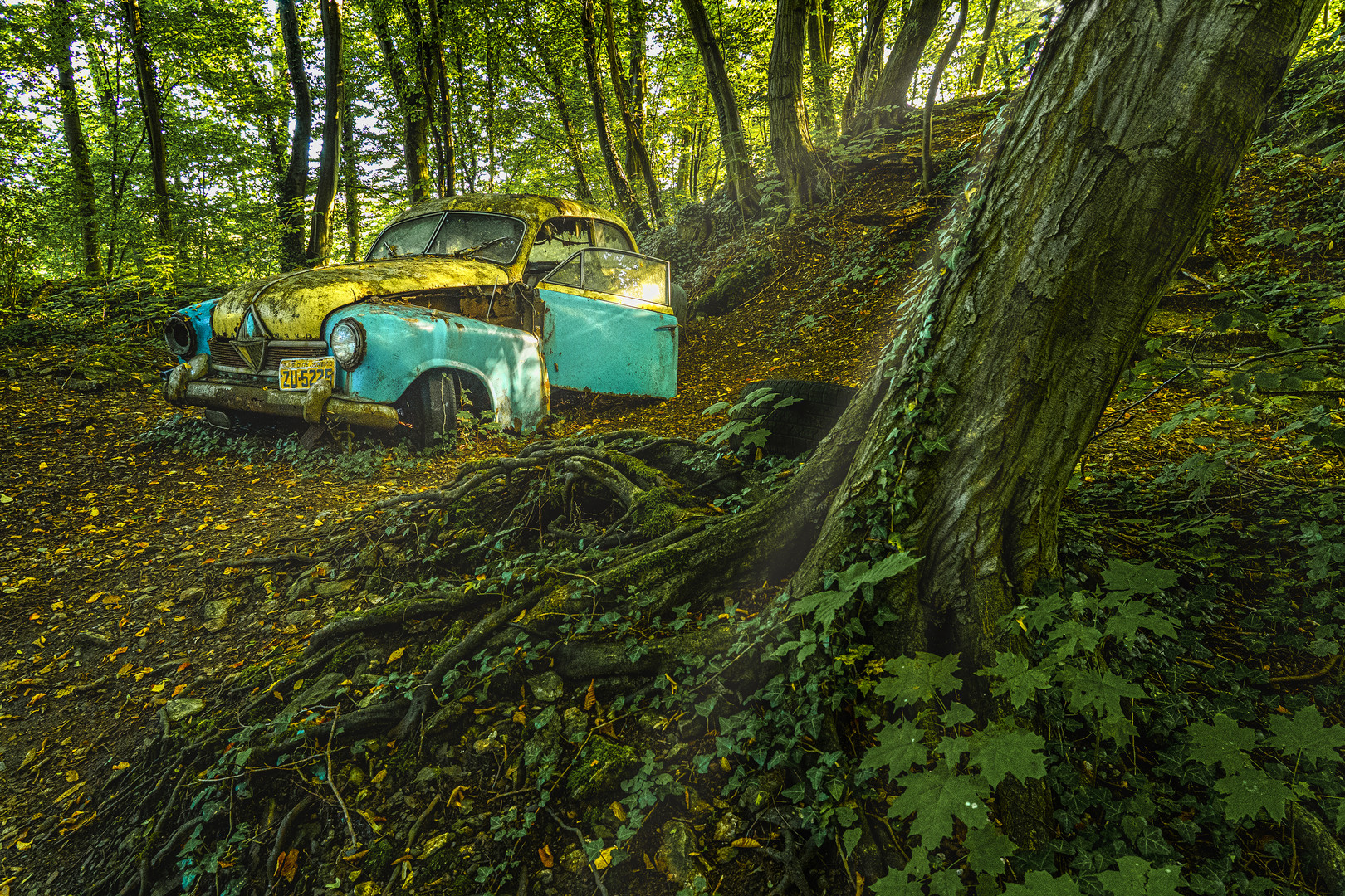 Borgward Hansa - im Wald verfahren, 2021.09.05.