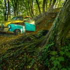 Borgward Hansa - im Wald verfahren, 2021.09.05.