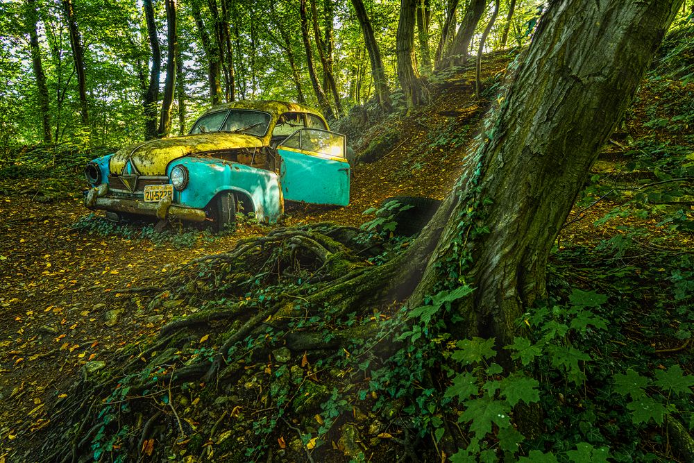 Borgward Hansa - im Wald verfahren, 2021.09.05.