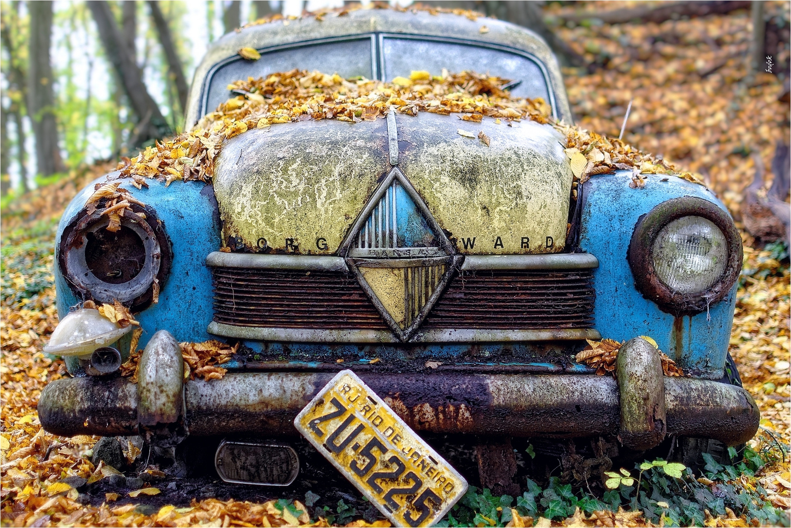 BORGWARD im Herbstwald