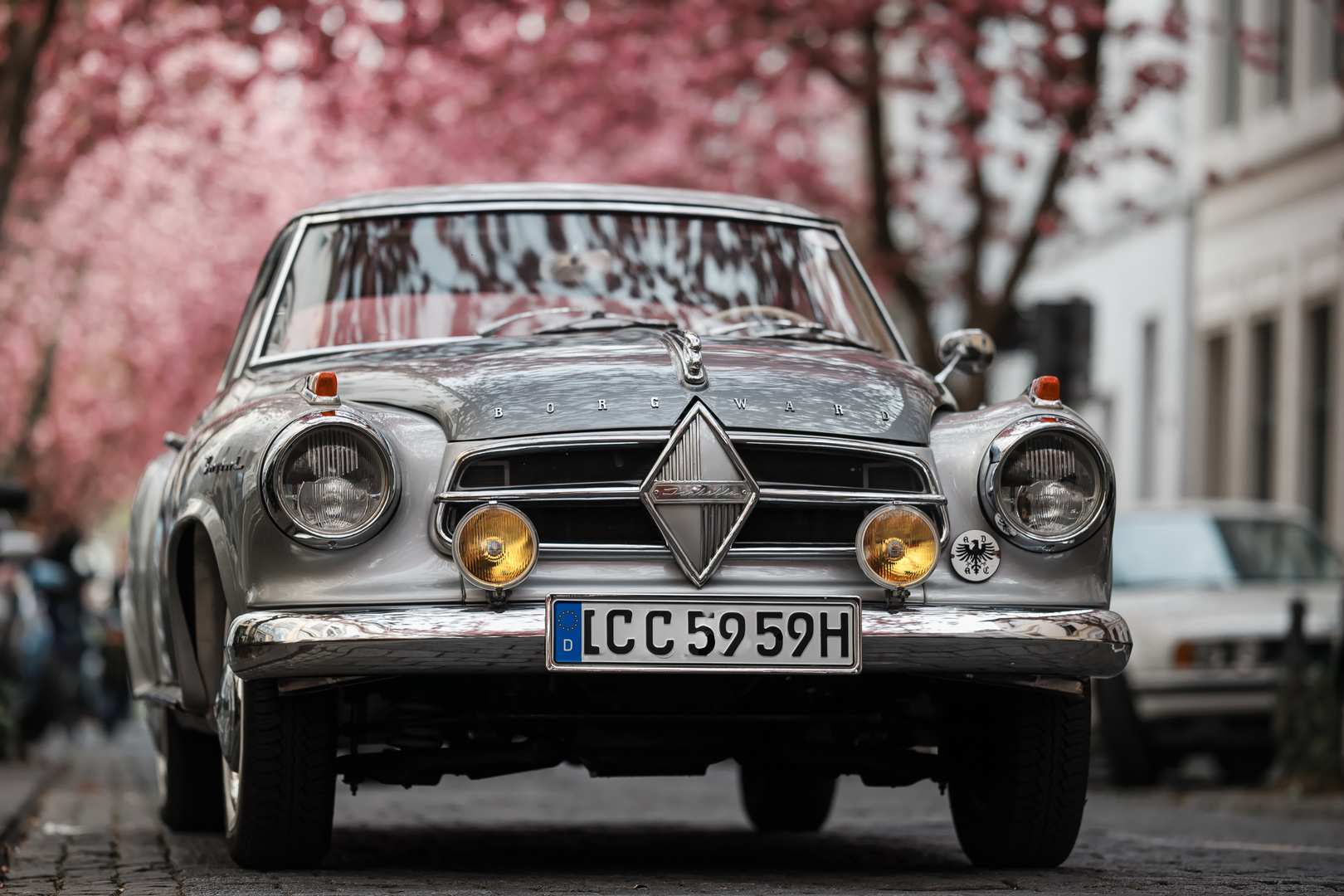 Borgward in Kirschblüte