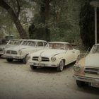 Borgward Parade