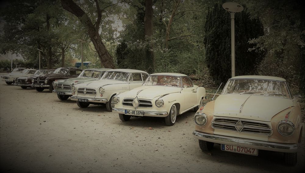 Borgward Parade