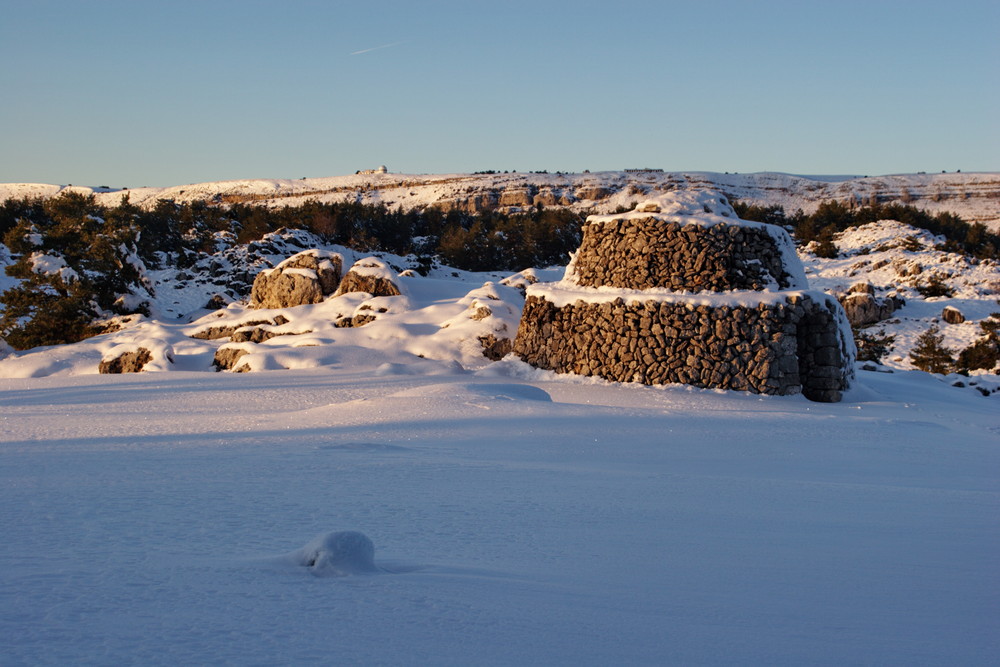 borie st aubanel plateau de caussol