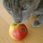 Boris mit Apfel