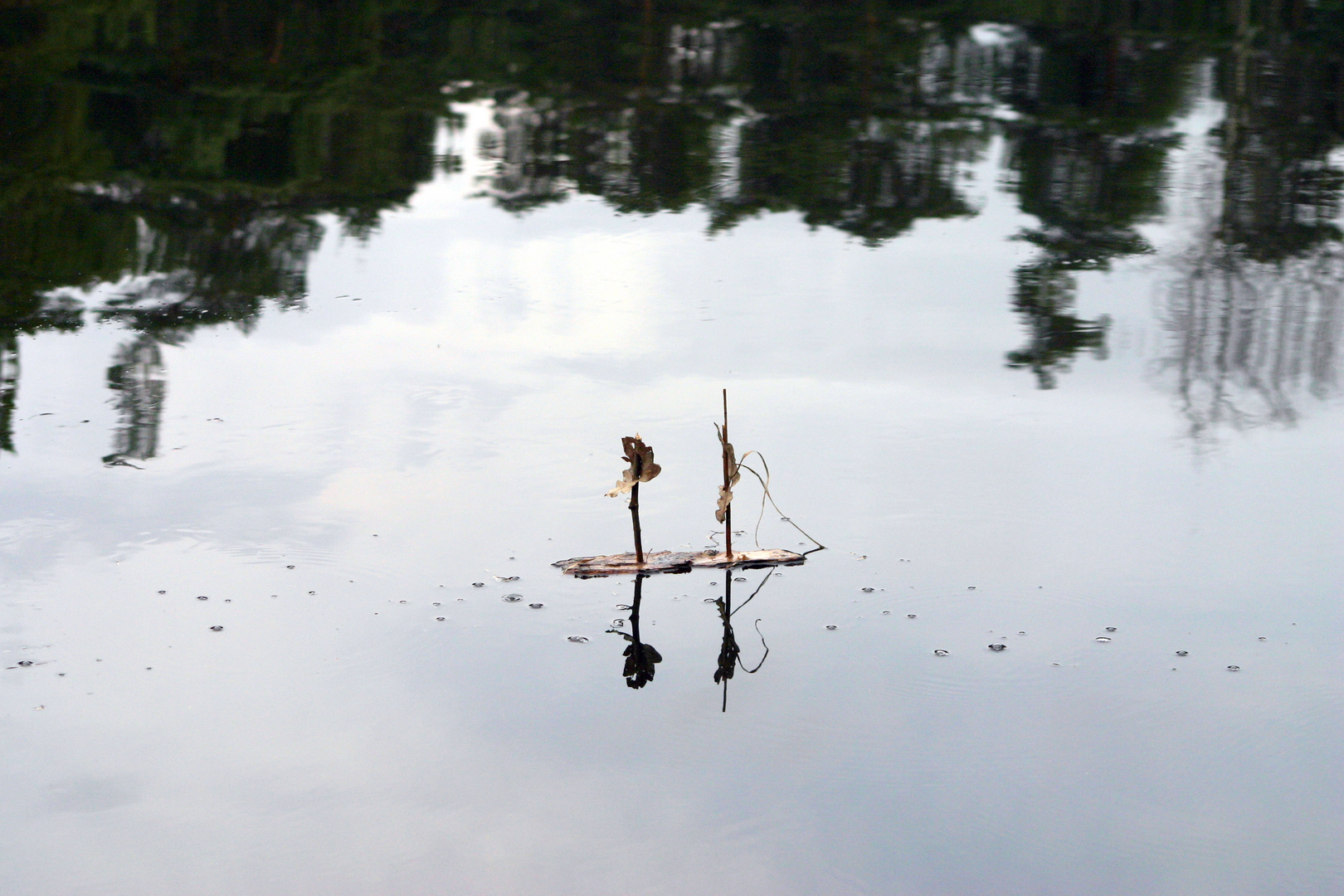 Borkenboot im Stausee