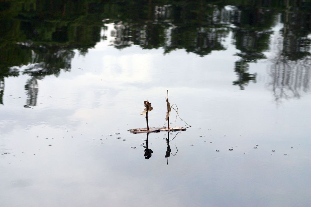 Borkenboot im Stausee von LangeAnna 