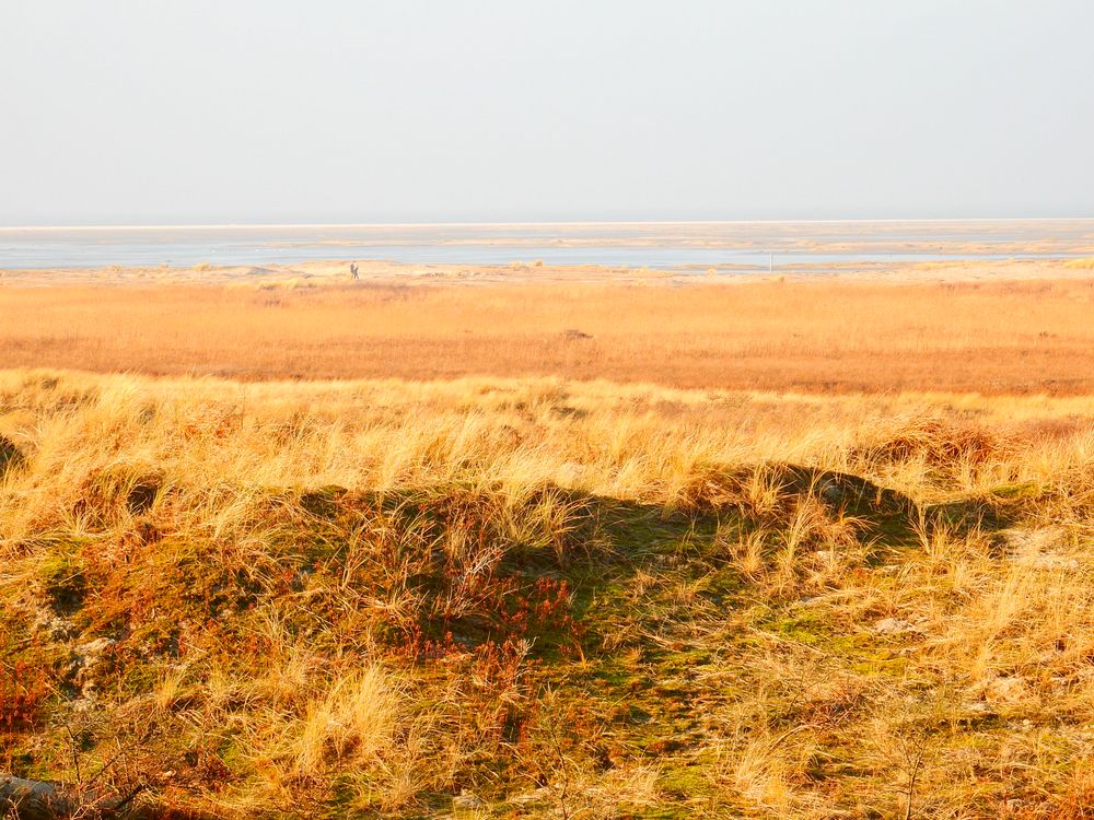 Borkum