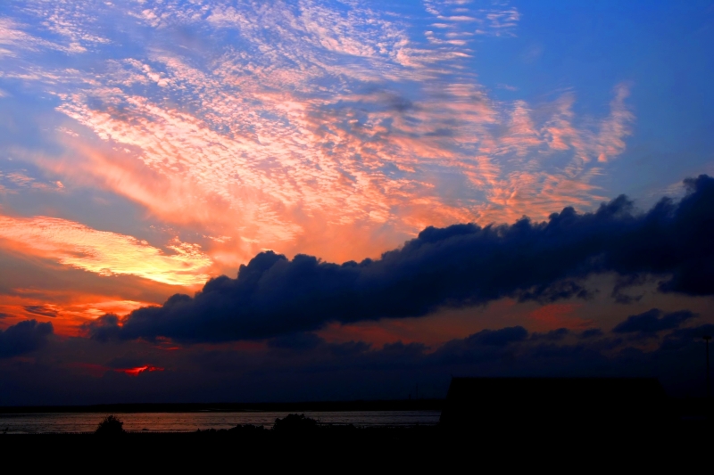 Borkum 08