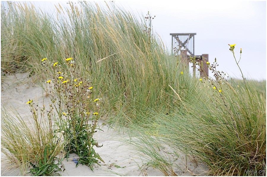 Borkum 09/1