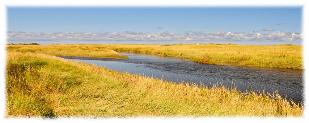 Borkum 1