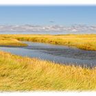 Borkum 1